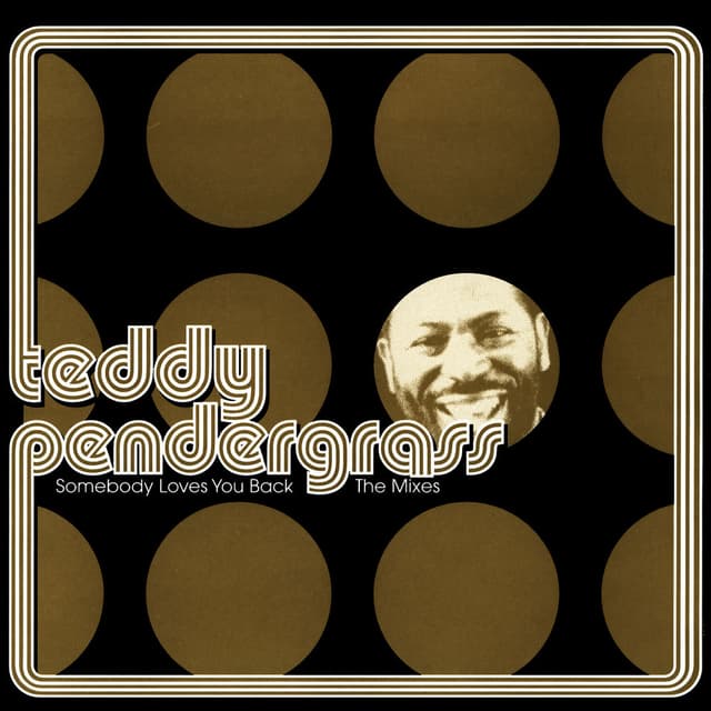 Somebody Loves You Back: The Mixes cover