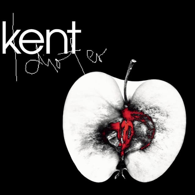 Idioter cover