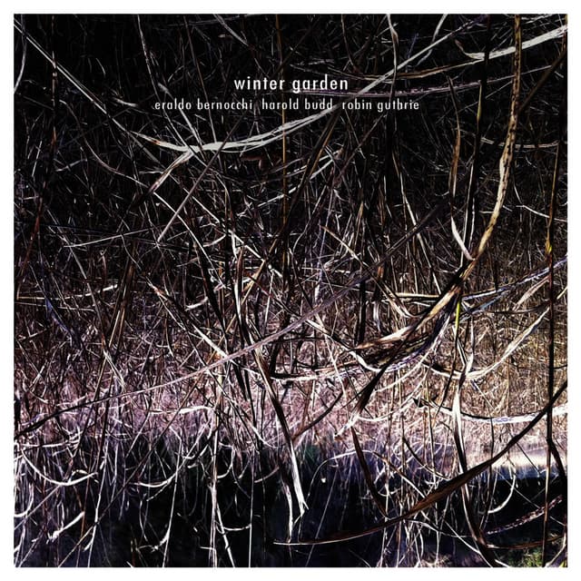 Winter Garden cover