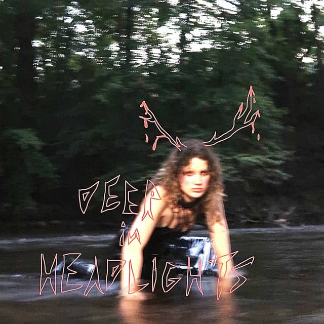 Deer in Headlights cover