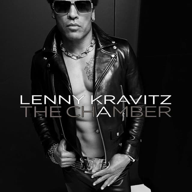 The Chamber cover