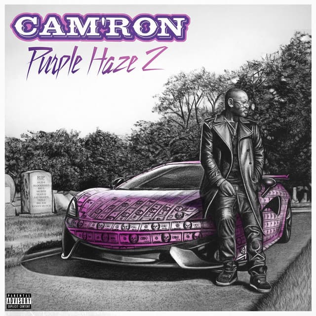 Purple Haze 2 cover