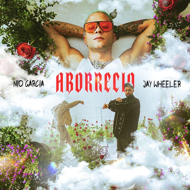 Aborrecio cover