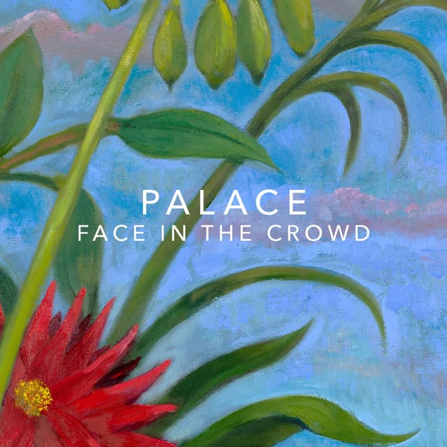 Face In the Crowd cover