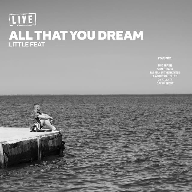 All That You Dream (Live) cover
