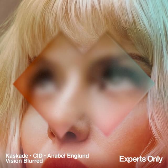 Vision Blurred cover