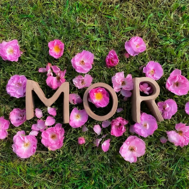 MOR cover
