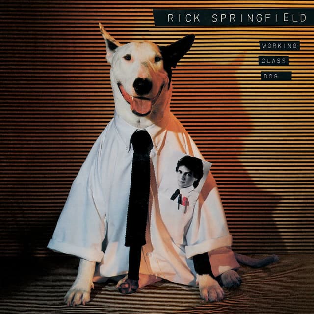 Working Class Dog album cover