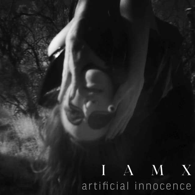 Artificial Innocence cover