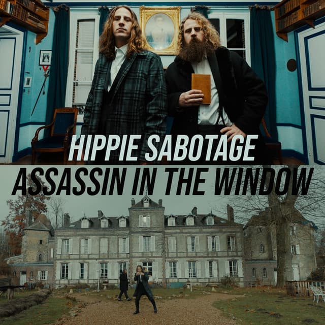 Assassin In The Window cover