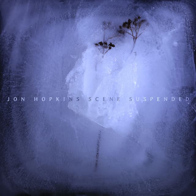 Scene Suspended cover