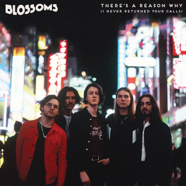 There's A Reason Why (I Never Returned Your Calls) cover