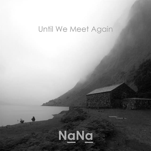Until We Meet Again cover