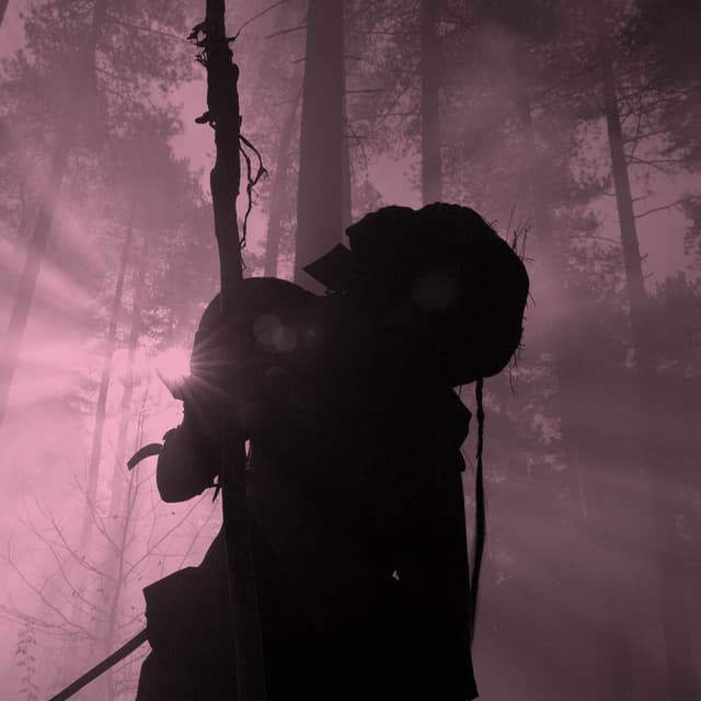 Rōnin II (Instrumentals) cover
