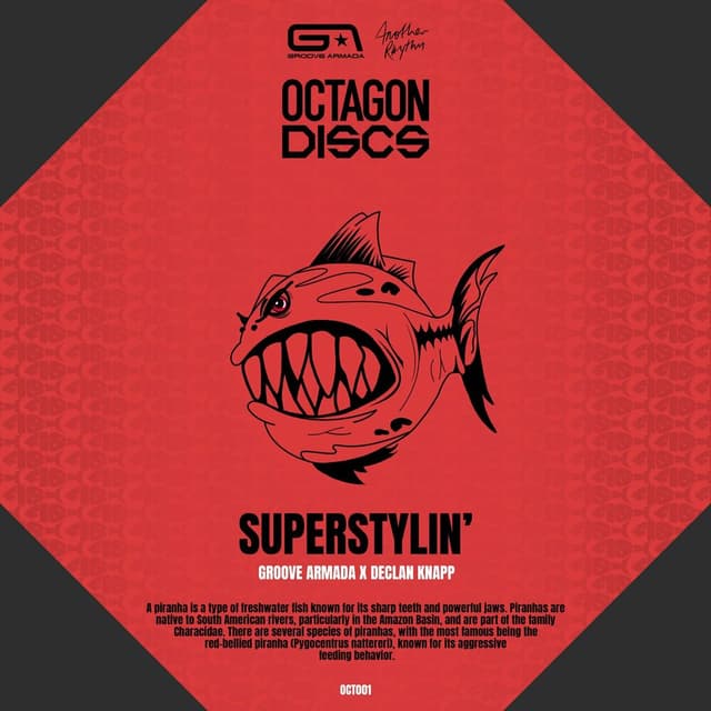 Superstylin' cover