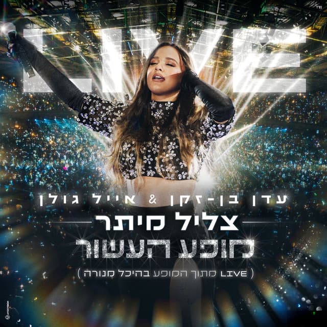 צליל מיתר (Live) album cover