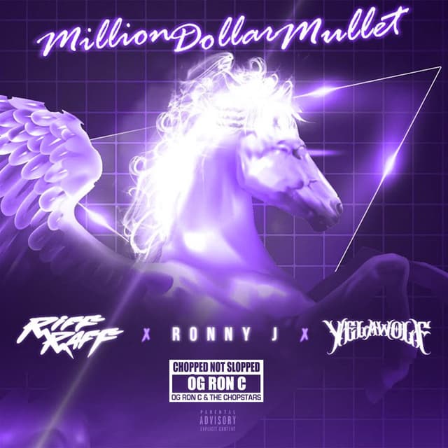 Million Dollar Mullet (ChopNotSlop Remix) cover