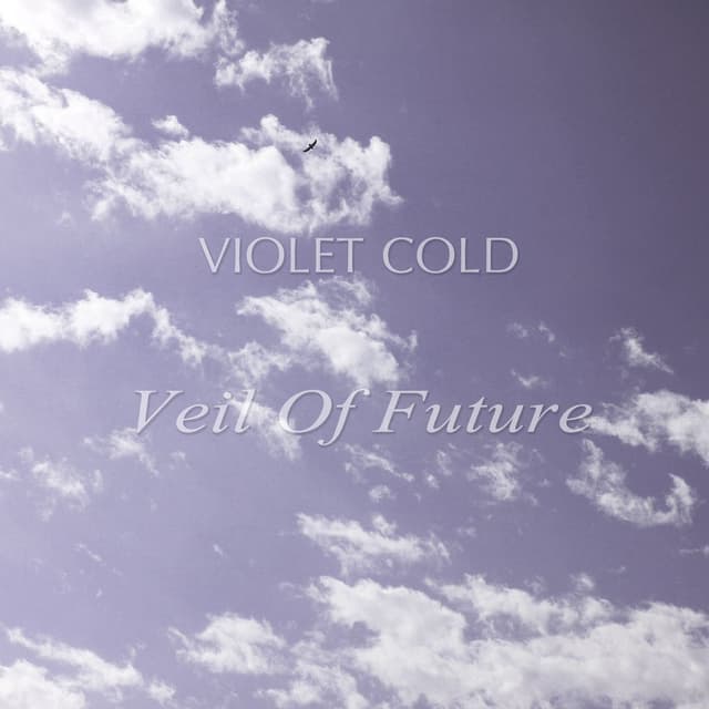 Veil of Future cover