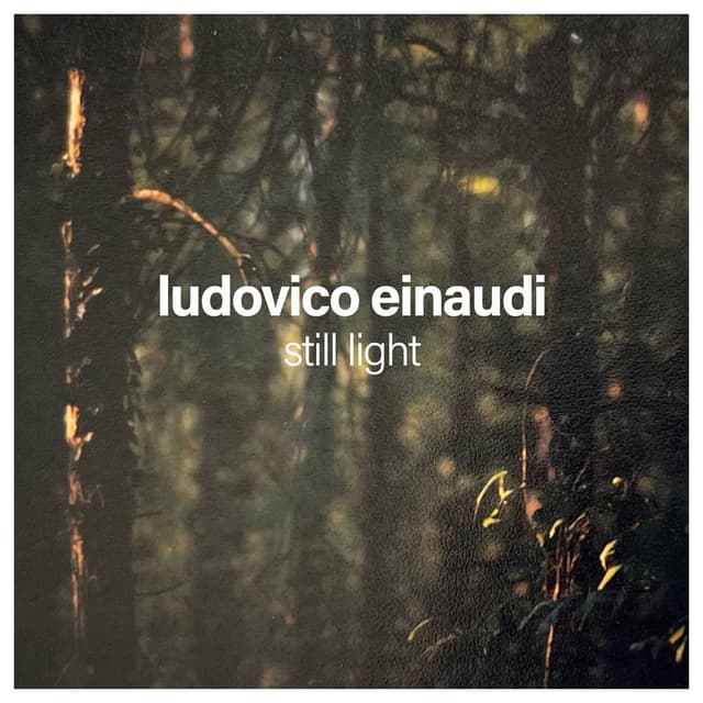 Still Light cover