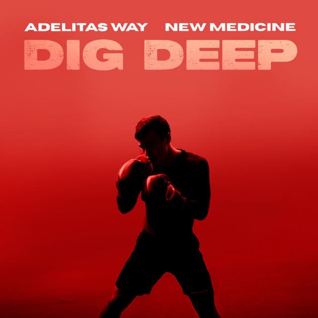 Dig Deep cover