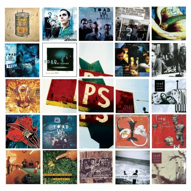 P.S. (A Toad Retrospective) cover