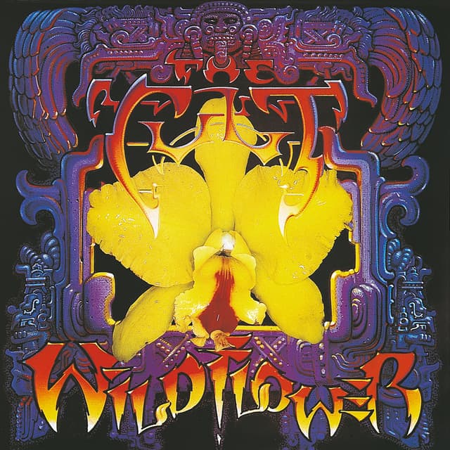 Wild Flower cover