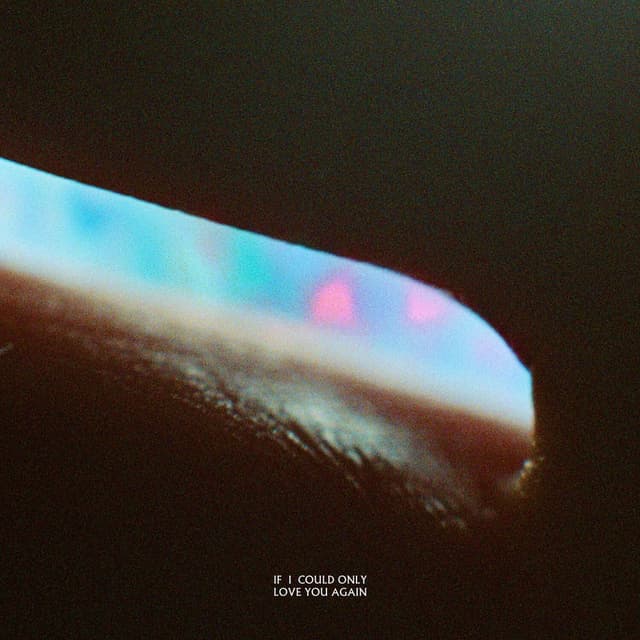 If I Could Only Love You Again cover