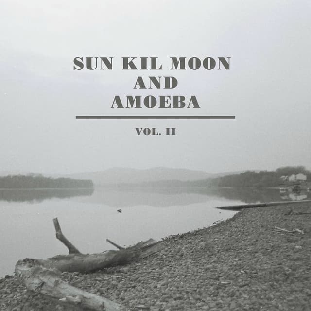 Sun Kil Moon and Amoeba, Vol. II cover