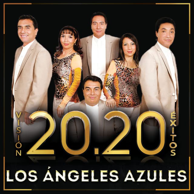 Visión 20.20 Éxitos cover