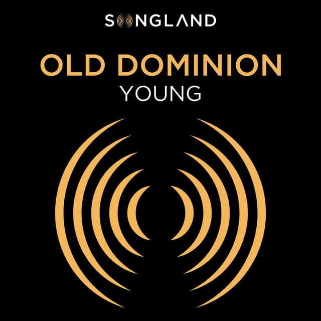 Young (From "Songland") cover
