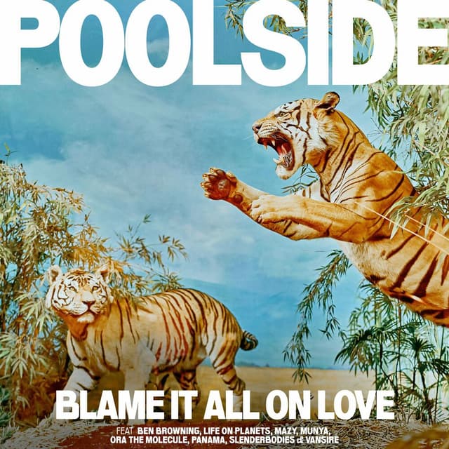We Could Be Falling In Love cover