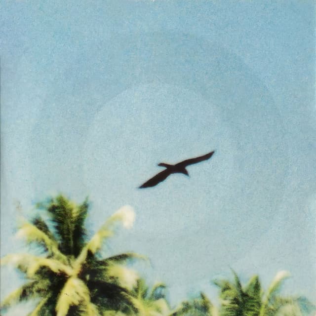 Beached cover