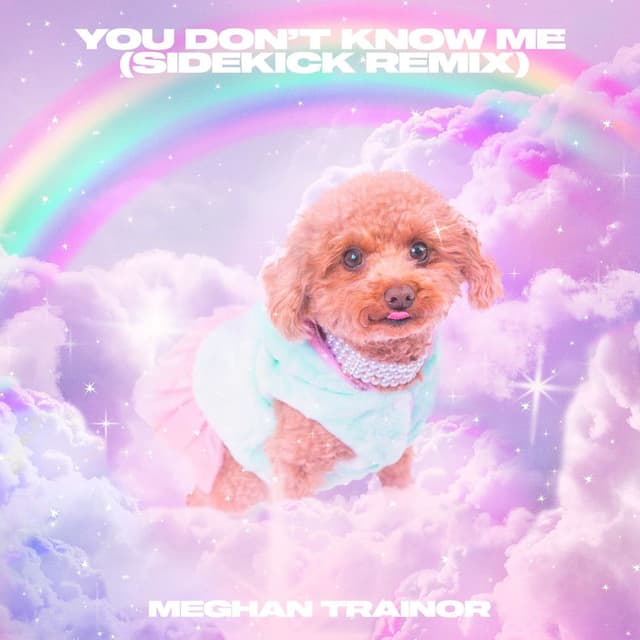 You Don't Know Me (Sidekick Remix) album cover