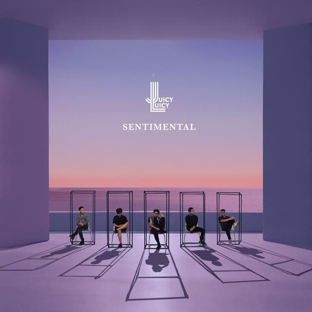 Sentimental album cover