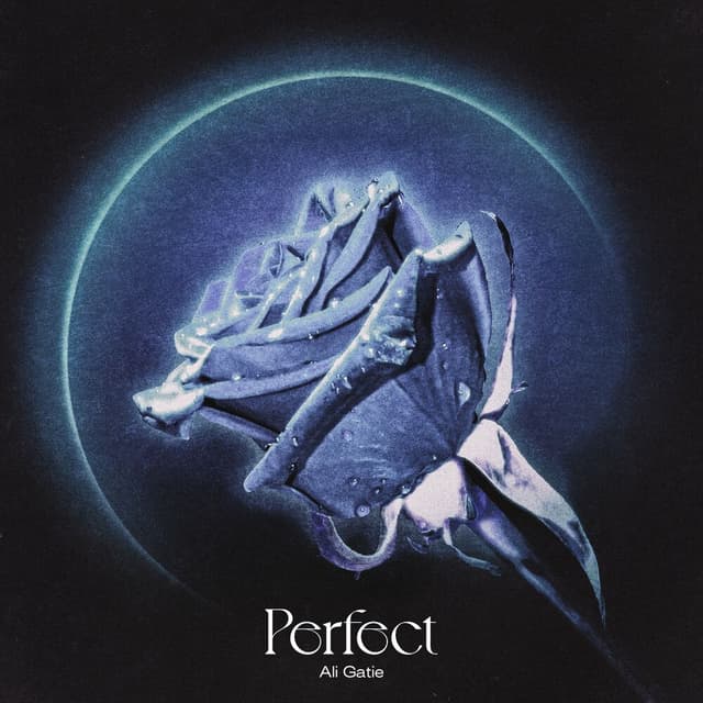 Perfect cover