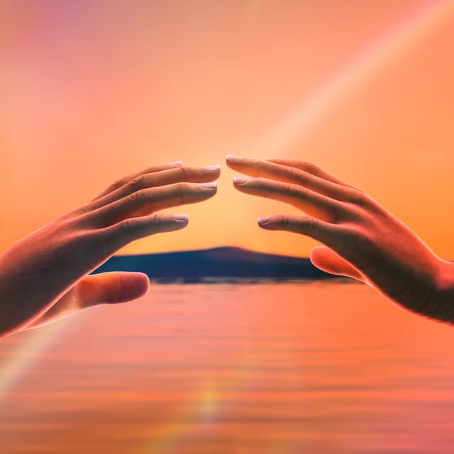 Closer cover