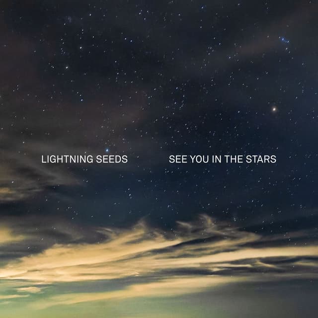 See You in the Stars cover
