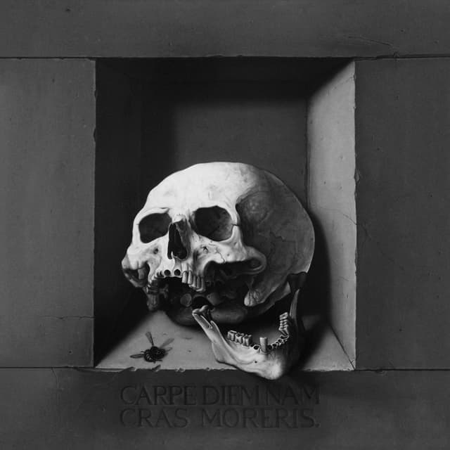The Other Side cover