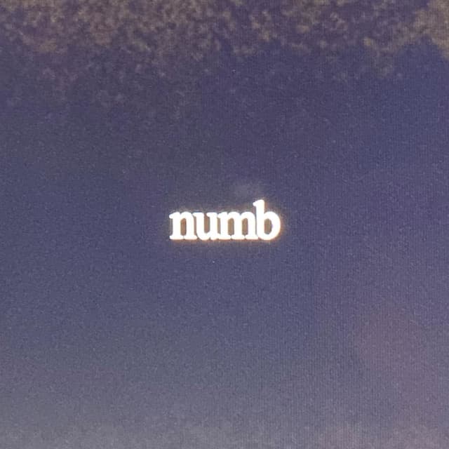 numb cover