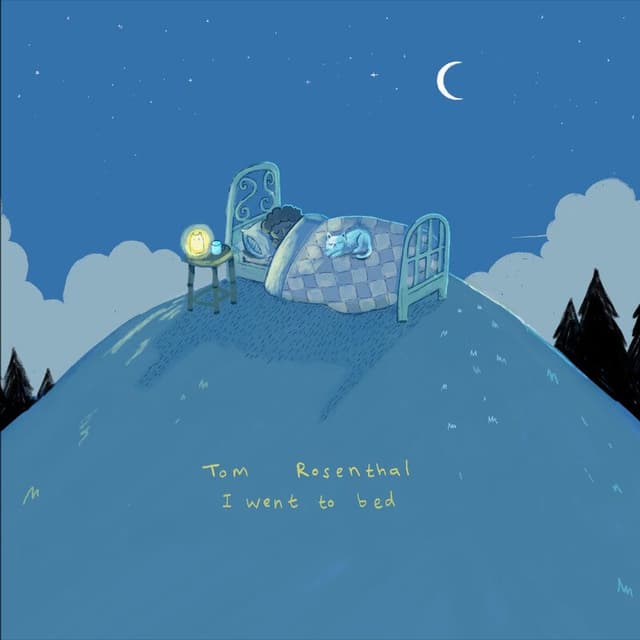 I went to bed cover