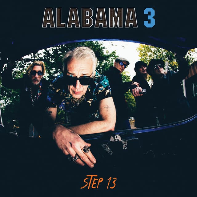 Step 13 cover