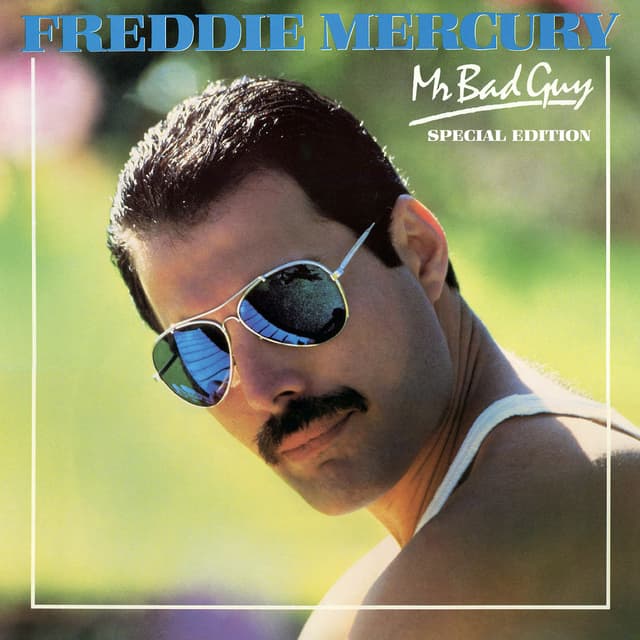 Mr Bad Guy (Special Edition) cover
