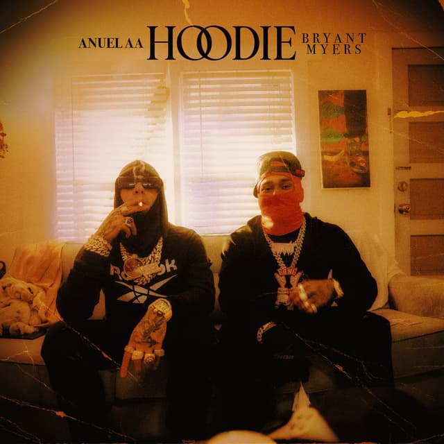 Hoodie cover