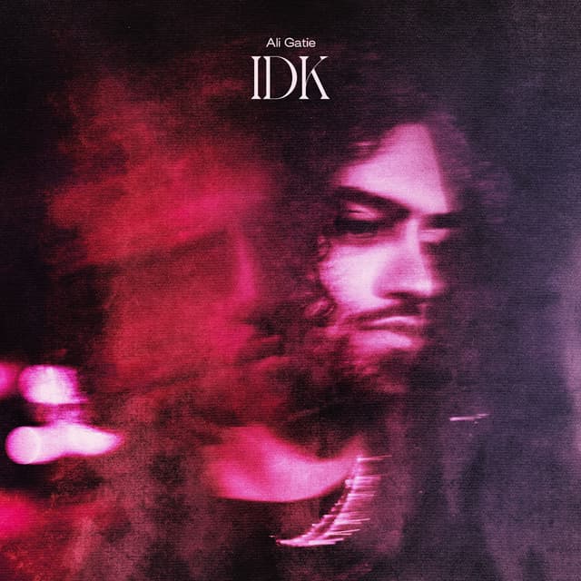IDK cover