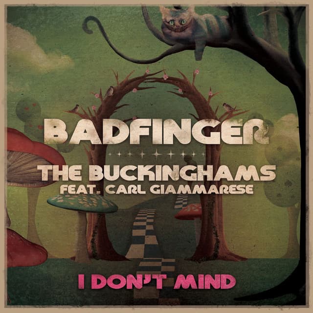 I Don't Mind cover