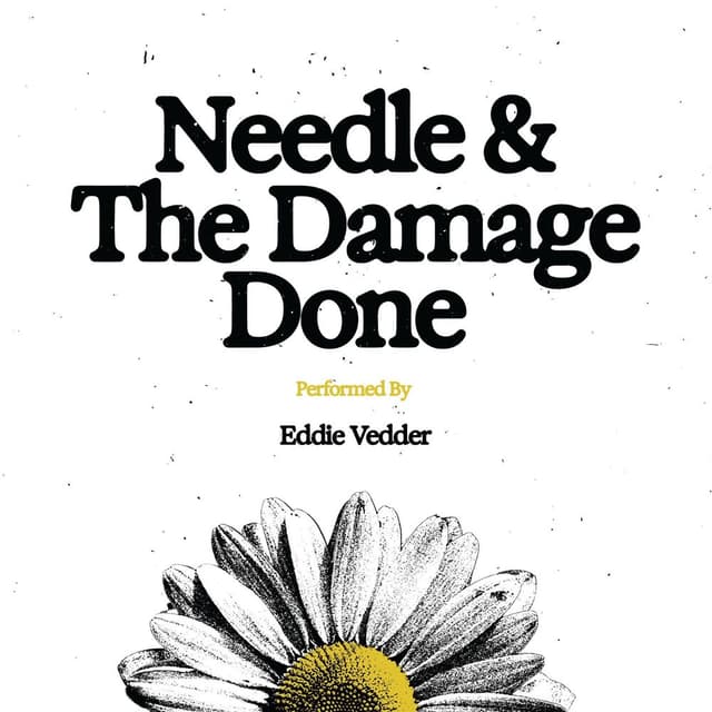 Needle and The Damage Done cover