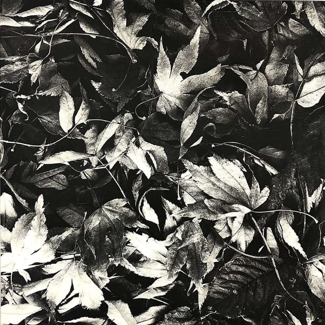 All Different Things album cover