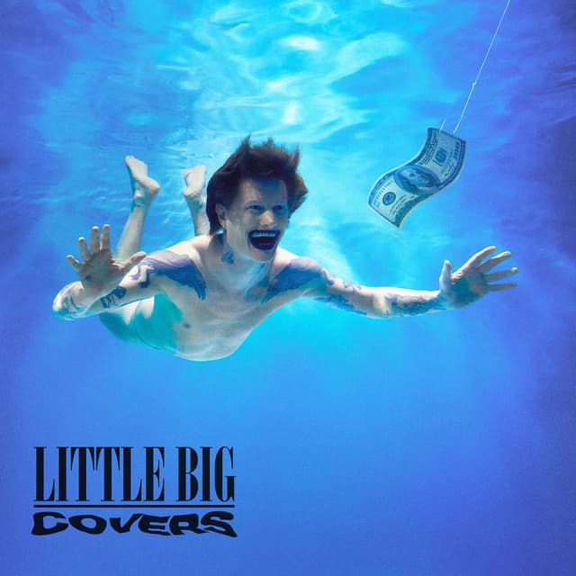 COVERS cover