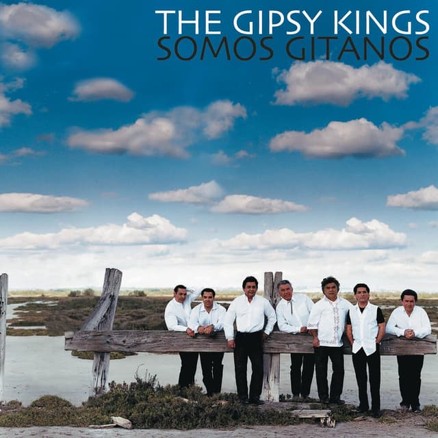 Somos gitanos cover