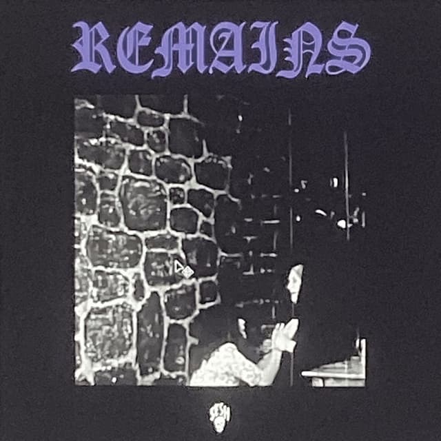 REMAINS cover